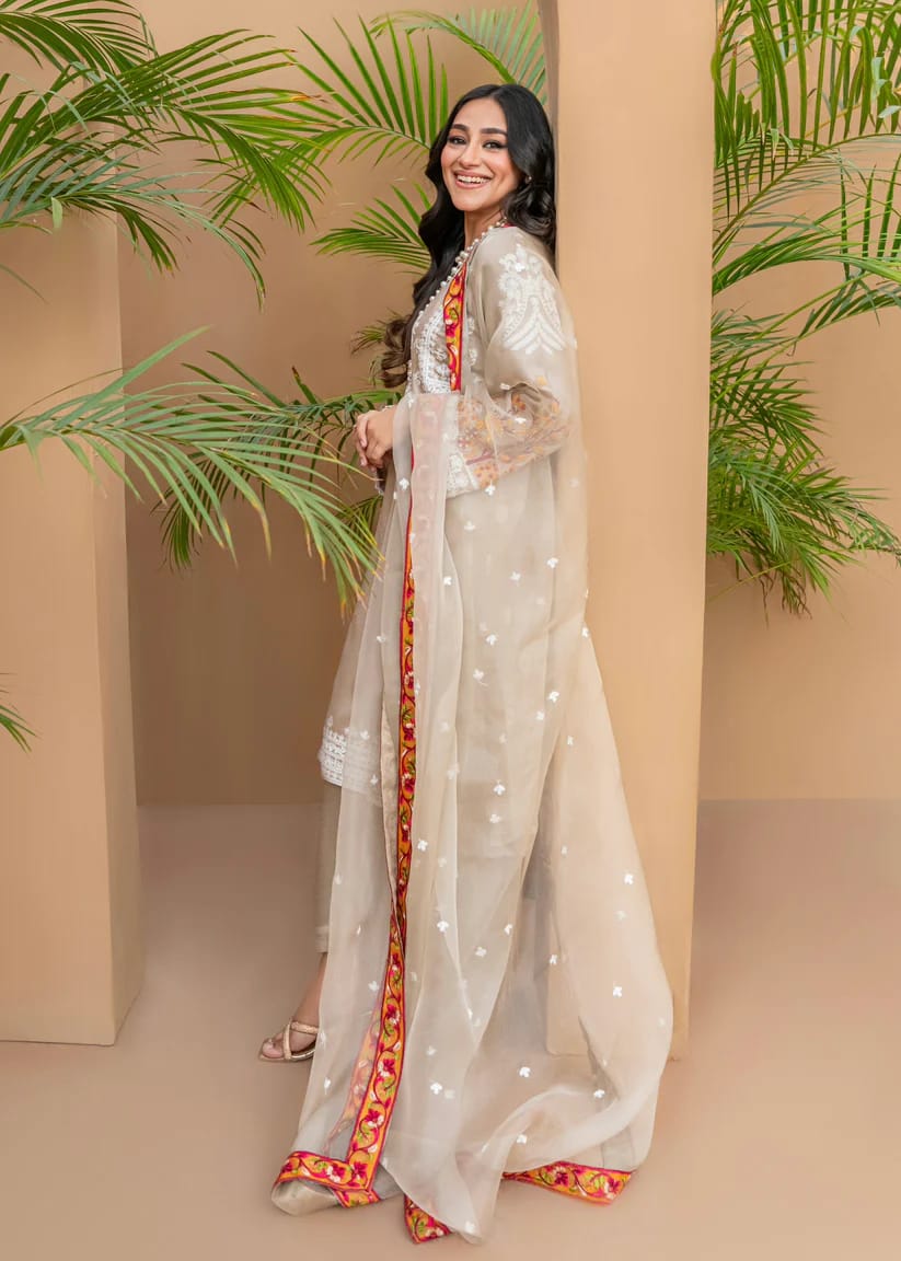 Premium Pakistani Suit Set With Embroidery And Lace Work